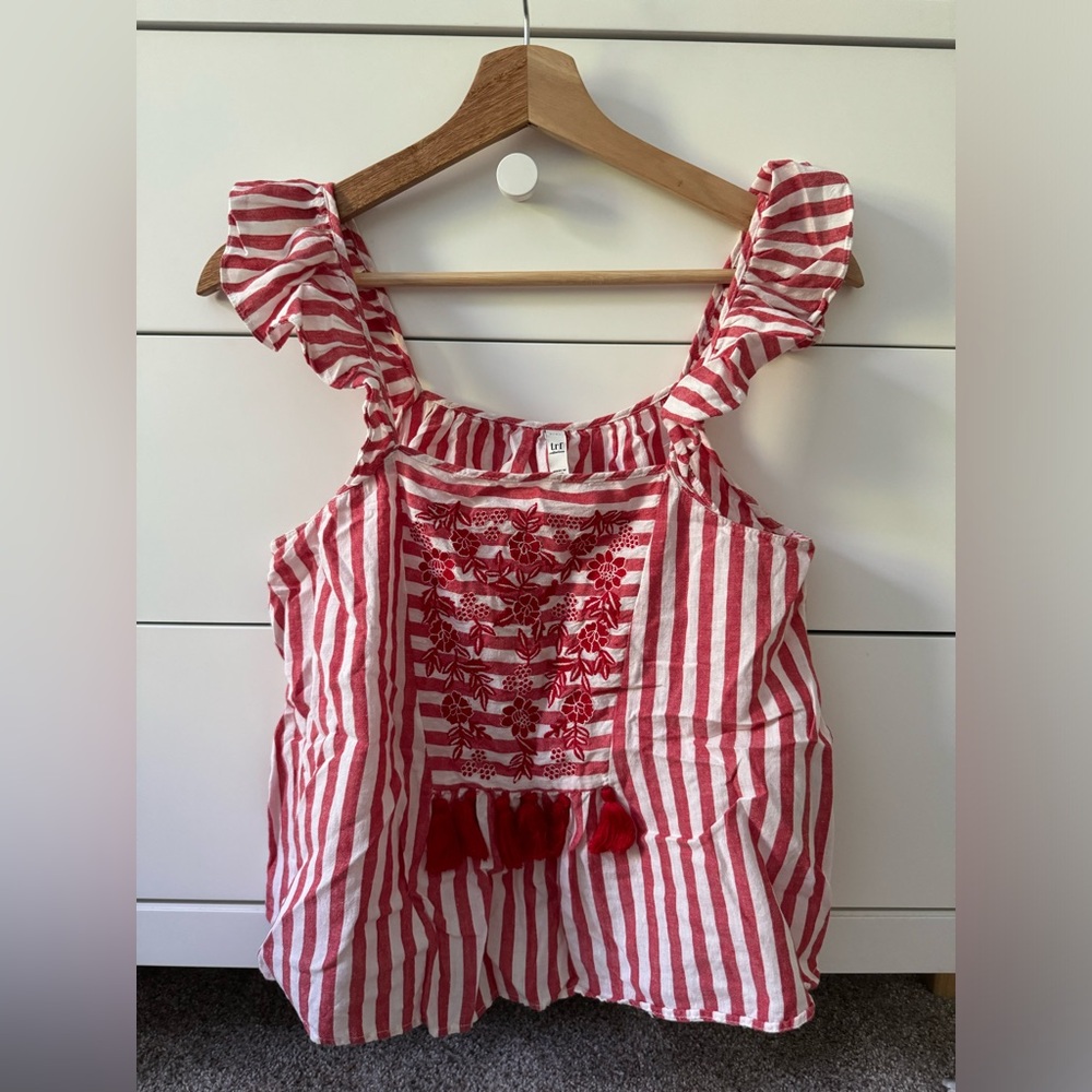 Zara top with embroidery details in front